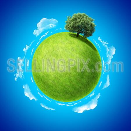 Mini planet concept. Empty space on fresh green field and sole standing dense tree. Place for your text, product or logo. Earth collection.