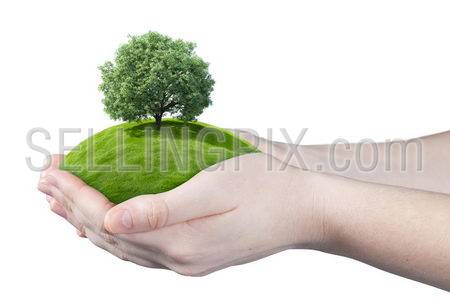 Hands holding clear green meadow with thick sole tree. Concept for growing business, ecology, freshness, freedom and other lifestyle issues. Green fields collection.