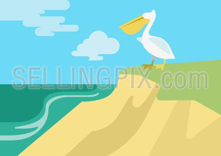 Pelican on the beach river bank habitat flat design cartoon vector wild animals birds. Flat zoo nature children collection.