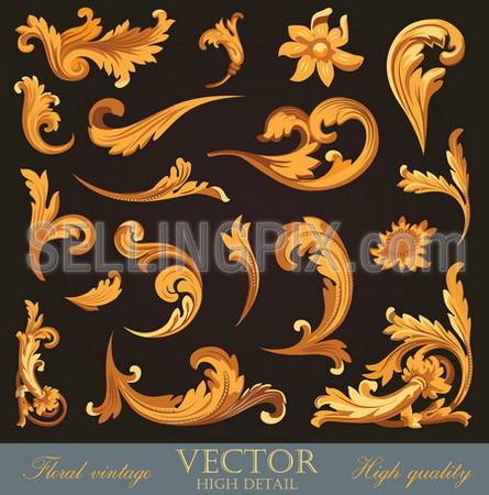 Gold Vintage Elements. High detail Floral ornament.  Flourish pattern. Vector.