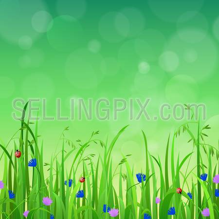 Nice shiny fresh flower grass lawn with bokeh blur effect sunshine beam background. Nature spring summer backgrounds collection.