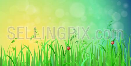 Nice shiny fresh ladybug grass lawn with bokeh blur effect sunshine beam background. Nature spring summer backgrounds collection.