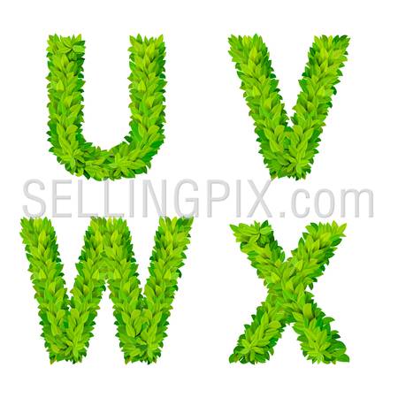 ABC grass leaves letter number elements modern nature placard lettering leafy foliar deciduous vector set. U V W X leaf leafed foliated natural letters latin English alphabet font collection.