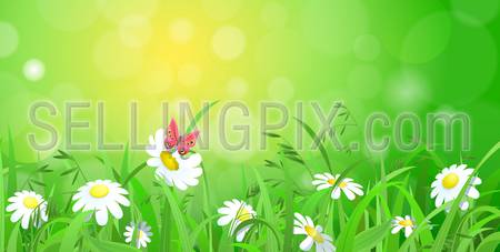 Nice shiny fresh daisy chamomile butterfly flower grass lawn with bokeh blur effect sunshine beam background. Nature spring summer backgrounds collection.