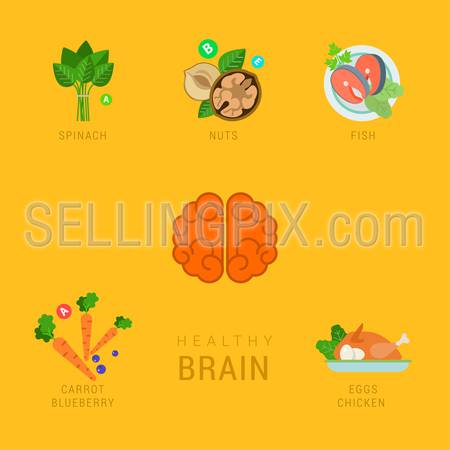 Flat healthy brain lifestyle vector infographics concept. Human organ icon with spinach nuts fish carrot blueberry eggs chicken elements around. Health and fitness collection.