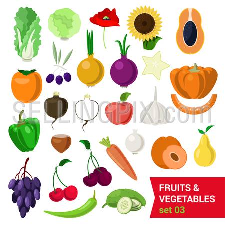 Flat style fancy quality set of fruit and vegetable set. Cabbage salad sunflower nut olive poppy persimmon carrot pear onion carom apple grape cherry cucumber chestnut turnip. Creative food collection