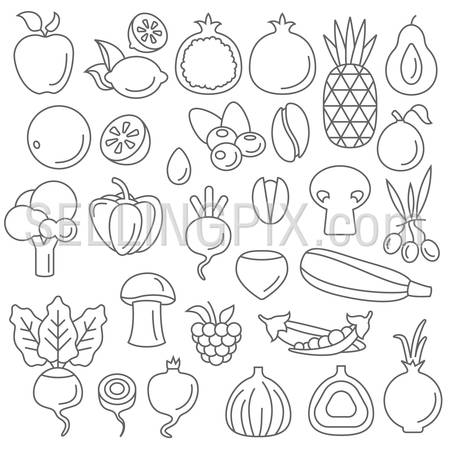 Line art flat graphical style fancy quality set of fruit and vegetable set hipster style. Apple lemon pomegranate pineapple avocado orange plum coffee bean mushroom lime melon corn peas beets celery sprouts. Line art collection.