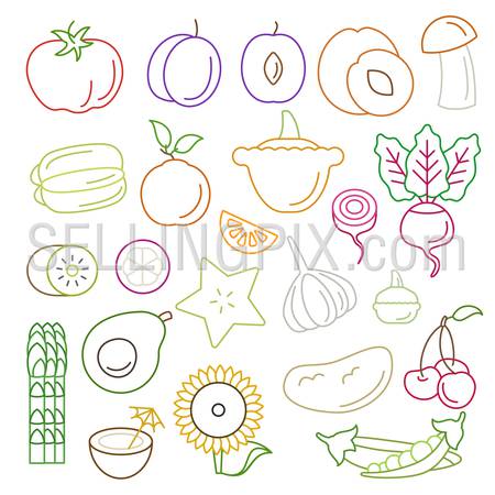 Line art flat graphical style high quality fruit vegetable icon set. Apple lemon pomegranate pineapple plum coffee bean sunflower lime melon corn peas beets celery sprouts. World of lineart collection.