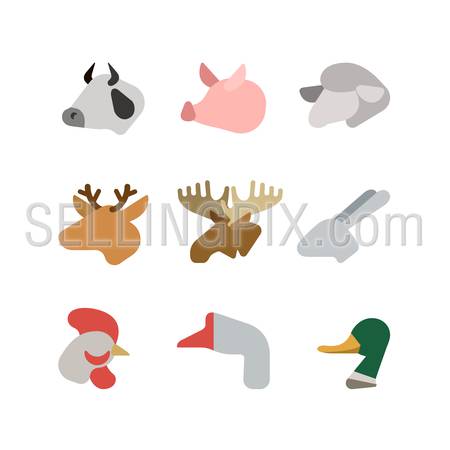 Flat animal heads creative style modern infographic vector icon set. Cow pig lamb deer elk rabbit chicken goose duck. Zoo icons collection.