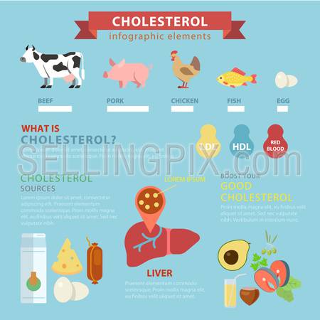 Cholesterol sources flat style thematic infographics concept. Meat ingredients beef pork chicken fish egg liver good bad info graphic. Conceptual web site infographic collection.