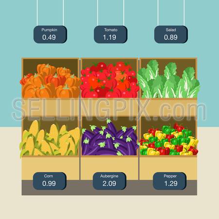 Flat style agriculture vegetable market showcase box web infographic icons. Pumpkin tomato pepper corn eggplant aubergine salad. Website infographics collection.