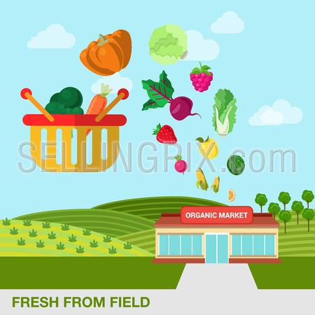 Flat style agriculture fruit berry vegetable fresh field organic market web infographic icons. Pumpkin cabbage beet berry watermelon carrot broccoli salad apple cart. Website infographics collection.