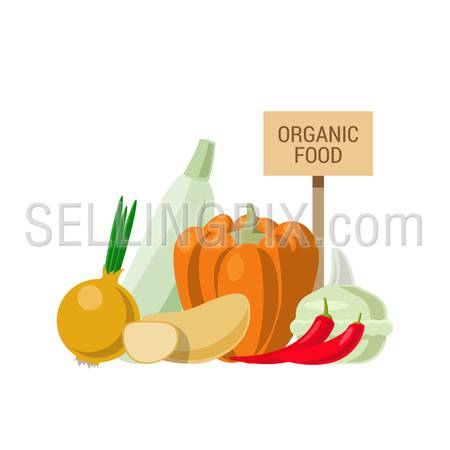Flat style agriculture vegetable healthy food web infographic icons concept. Collage of onion pumpkin chili pepper eggplant potato and wooden signboard. Website infographics collection.