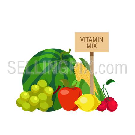 Flat style agriculture fruit healthy food web infographic icons concept. Collage of water melon grapes apple corn lemon cherry and wooden signboard. Website infographics collection.