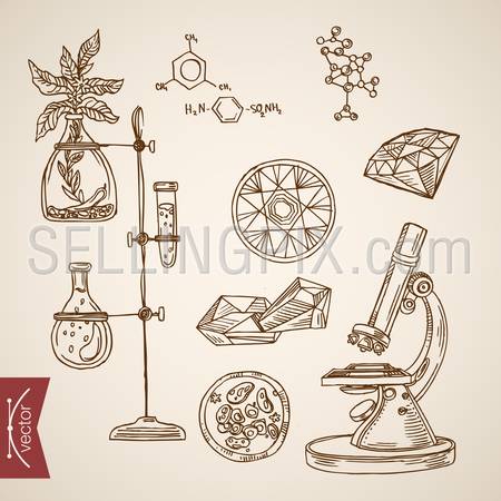 Chemistry science laboratory experiment icon set. Engraving style pen pencil crosshatch hatching paper painting retro vintage vector lineart illustration. Chemical scientific lab test microscope plant