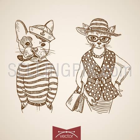 Dog sailor lady cat portrait clothes accessory wearing singlet purse tobacco pipe glasses. Engraving style pen pencil crosshatch hatching paper painting retro vintage vector lineart illustration.