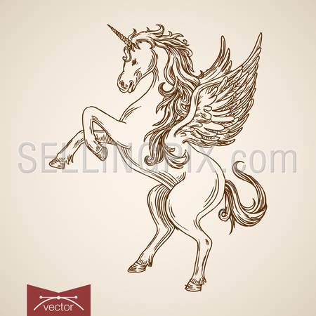 Unicorn mythical flying creature animal wild horse wind standing on hind legs. Engraving style pen pencil crosshatch hatching paper painting retro vintage vector lineart illustration.
