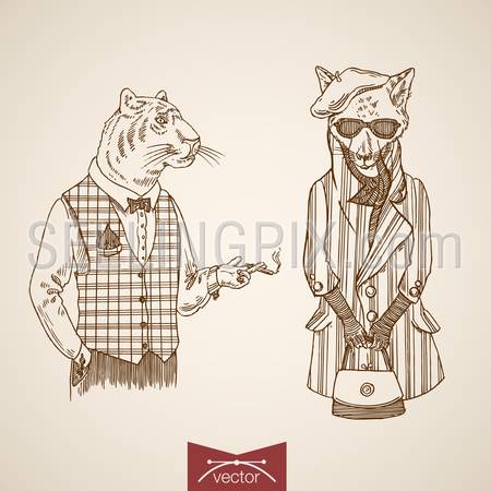 Tiger fox animal businessmen hipster style human clothes accessory monocle glasses tie icon set. Engraving style pen pencil crosshatch hatching paper painting retro vintage vector lineart illustration