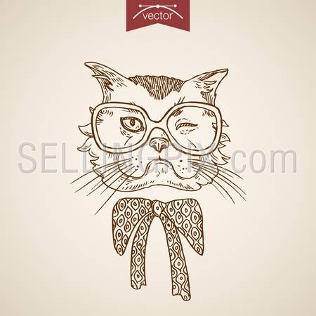 Cat wink head hipster style human like clothes accessory wearing glasses design scarf. Engraving style pen pencil crosshatch hatching paper painting retro vintage vector lineart illustration.