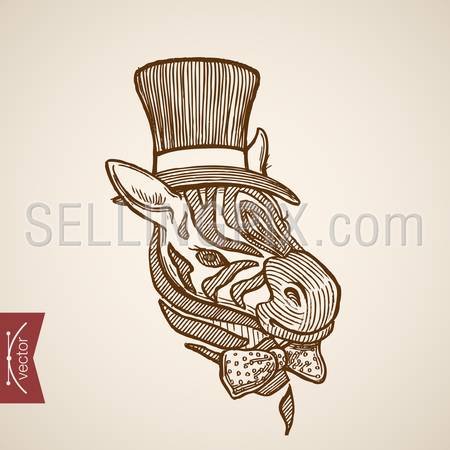 Wild animal Zebra head hipster style human clothes accessory cylinder hat bow polka dots tie. Engraving style pen pencil crosshatch hatching paper painting retro vintage vector lineart illustration.