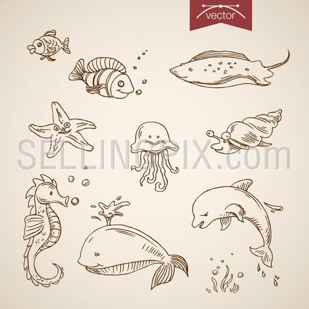 Underwater world sea life ocean set. Engraving style pen pencil crosshatch hatching paper painting retro vintage vector lineart illustration. Funny fish dolphin whale scat jellyfish shellfish star.
