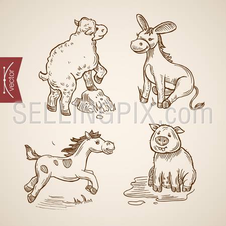 Domestic zoo farm friendly funny animal icon set. Engraving style pen pencil crosshatch hatching paper painting retro vintage vector lineart illustration. Sheep pig horse donkey ground stone.
