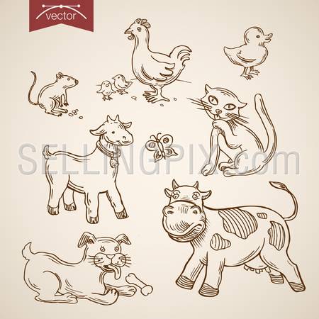 Domestic farm Pets zoo friendly funny animal icon set. Engraving style pen pencil crosshatch hatching paper painting retro vintage vector lineart illustration. Han cat dog goat duck rat chicken cow.