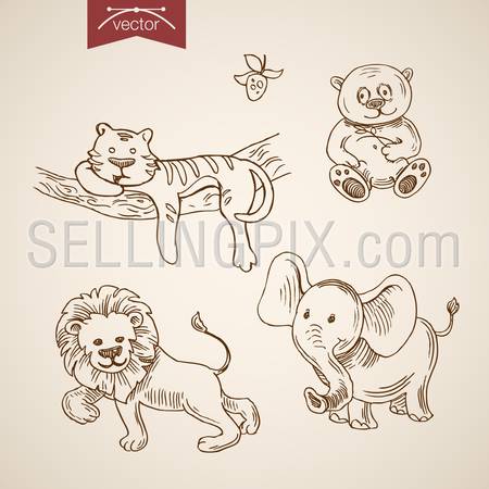 Wild life zoo friendly funny animal icon set. Engraving style pen pencil crosshatch hatching paper painting retro vintage vector lineart illustration. Comic lion tiger bear elephant lying smile happy.