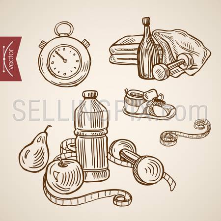 Engraving vintage hand drawn vector Health care with sport and eco food collection. Pencil Sketch apple, pear, shoes, dumbbell healthy and fit life illustration.