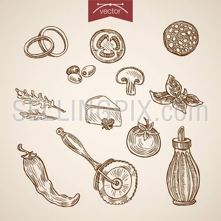 Engraving vintage hand drawn vector Pizza ingredient collection. Pencil Sketch Sausage, Parmesan, tomato, basil, chilli, olive oil seasoning illustration.