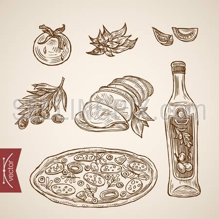 Engraving vintage hand drawn vector Italian pizzeria food collection. Pencil Sketch pizza, Ham, bottle of olive oil, basil, tomato peace illustration.