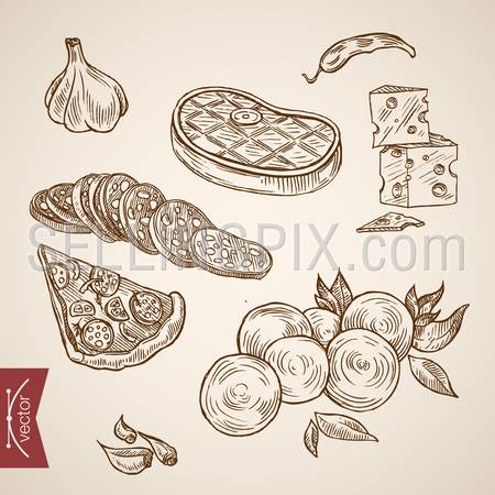 Engraving vintage hand drawn vector Pizza ingredient collection. Pencil Sketch Meat, vegetable, fruit, cheese, chilli food illustration.