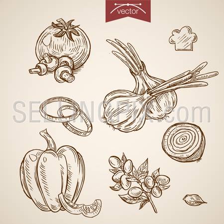 Engraving vintage hand drawn vector vegetables for pizza Margherita collection. Pencil Sketch Pumpkin, tomato, garlic, onion ring, mushroom, olives ingredients illustration.