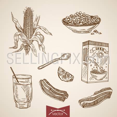 Engraving vintage hand drawn vector Breakfast Corn flakes, Lemon, Beacon collection. Pencil Sketch Healthy balanced food illustration.