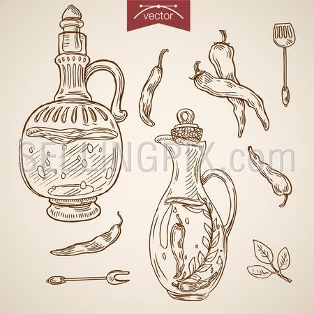 Engraving vintage hand drawn vector olive oil, souse, seasoning collection. Pencil Sketch Decanter with chilli fluid illustration.