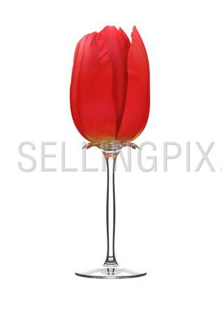Tulip-styled wine glass (love, valentine day series, 3d isolated objects)