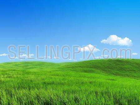 Nature collection – Green meadow template