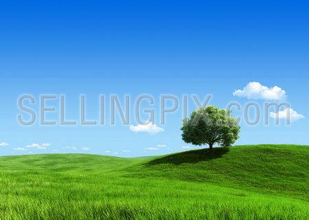Nature collection – Green meadow 1 tree template