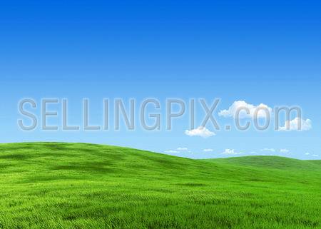 25 megapixel nature collection – Green meadow template