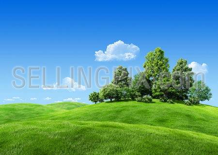 Very detailed 7000px trees on hill – nature collection