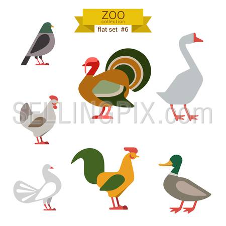 Flat design vector birds icon set. Dove, turkey, goose, chicken, rooster, duck. Flat zoo children cartoon collection.