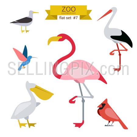 Flat design vector birds icon set. Seagull, hummingbird, flamingo, stork, pelicans. Flat zoo children cartoon collection.