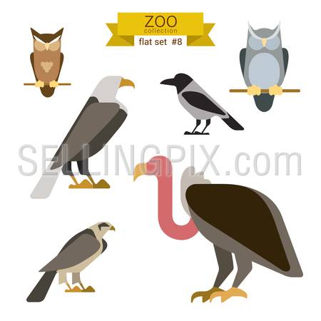 Flat design vector birds icon set. Owl, eagle, hawk, griffin, crow. Flat zoo children cartoon collection.