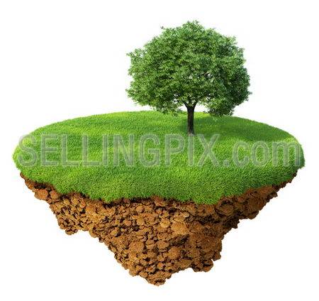 Little fine island / planet. A piece of land in the air. Lawn with a tree. Detailed ground in the base. Concept of success and happiness, idyllic ecological lifestyle.