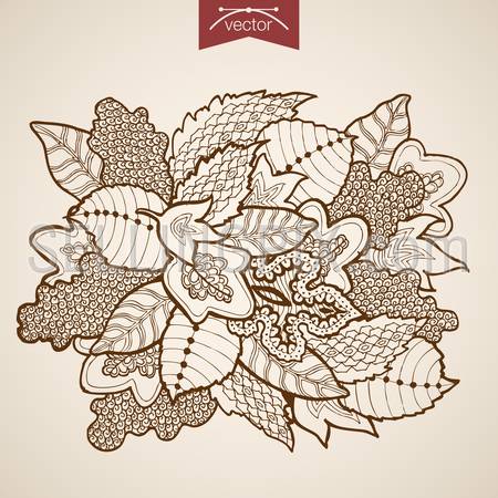 Engraving vintage hand drawn vector leaves bouquet. Pencil Sketch oak maple leaf herbarium illustration.