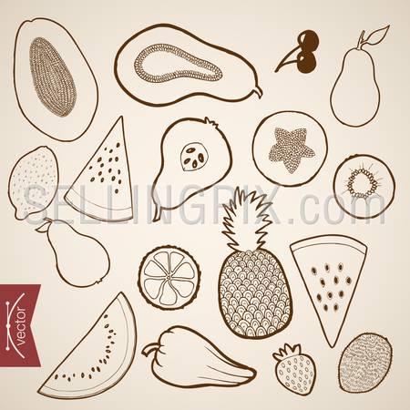 Engraving vintage hand drawn vector Fruit collection. Pencil Sketch cherry, mango, papaya, watermelon, pineapple, orange, strawberry, lemon food illustration.