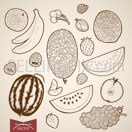 Engraving vintage hand drawn vector Fruit collection. Pencil Sketch berry, raspberries, watermelon, melon, grapes, strawberry, apple, cherry food illustration.