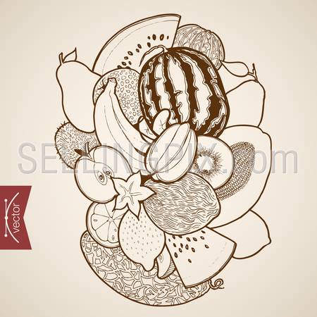 Engraving vintage hand drawn vector fruit. Pencil Sketch berry, raspberries, watermelon, melon, grapes, strawberry, apple, cherry food illustration.