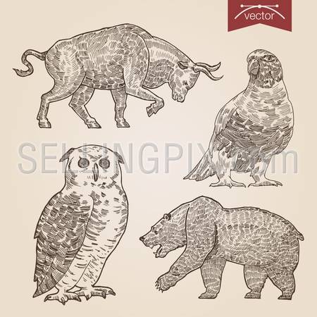 Engraving style pen pencil crosshatch hatching paper painting retro vintage vector lineart illustration wild animals and birds set. Bull and bear stock exchange finance concept, owl and dove.