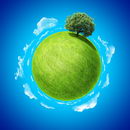 Mini planet concept. Empty space on fresh green field and sole standing dense tree. Place for your text, product or logo. Earth collection.